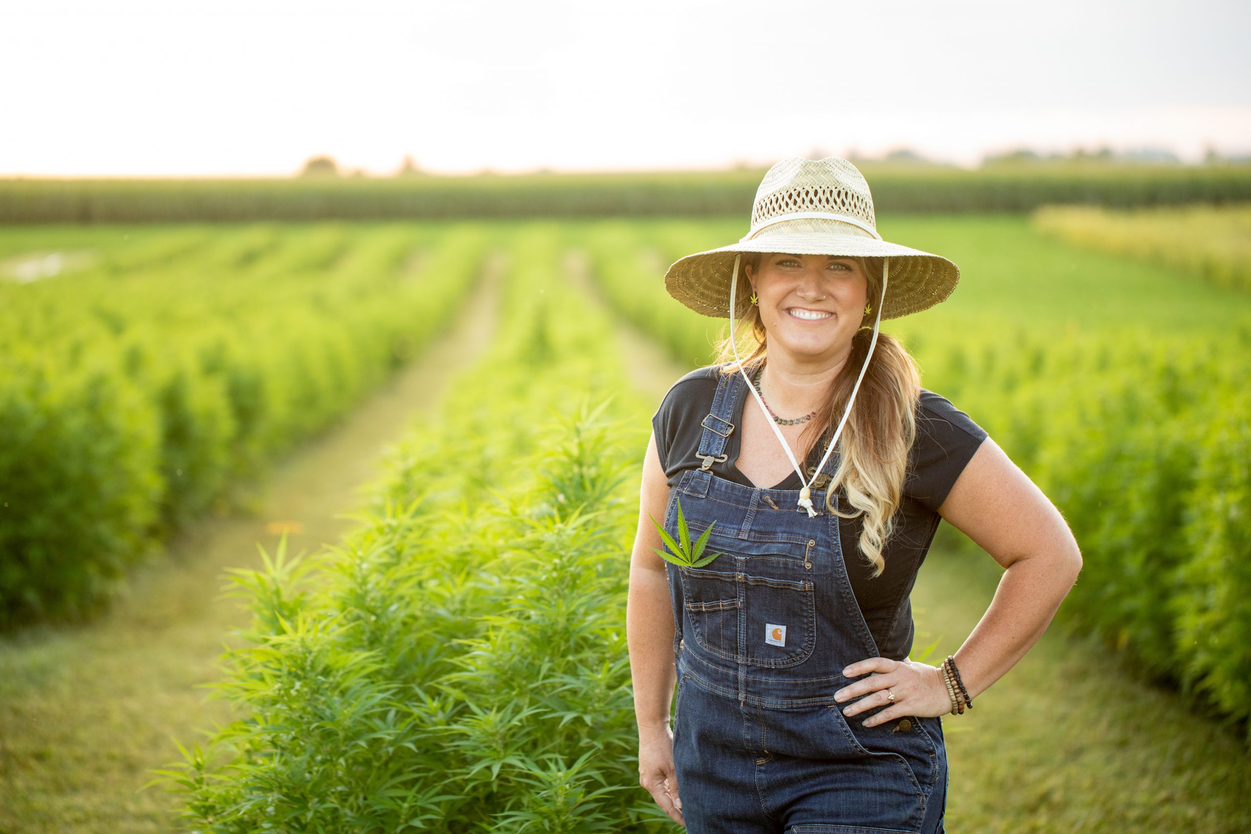 CBD Isolate – Everything You Need to Know